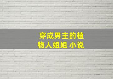 穿成男主的植物人姐姐 小说